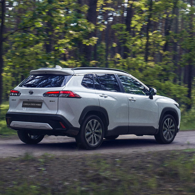 c20-cross-hybrid.jpg